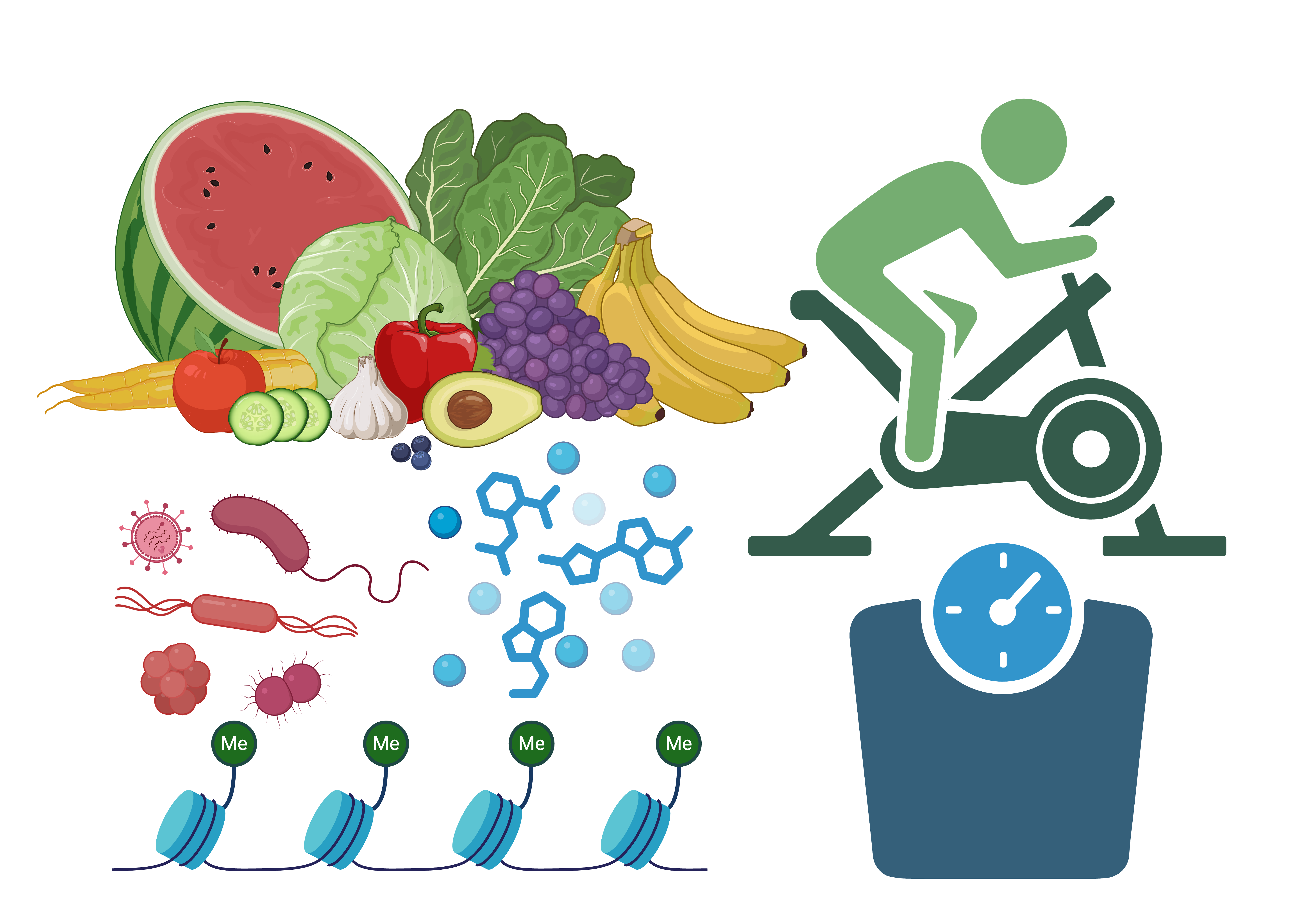 Multi-omics and weight loss interventions